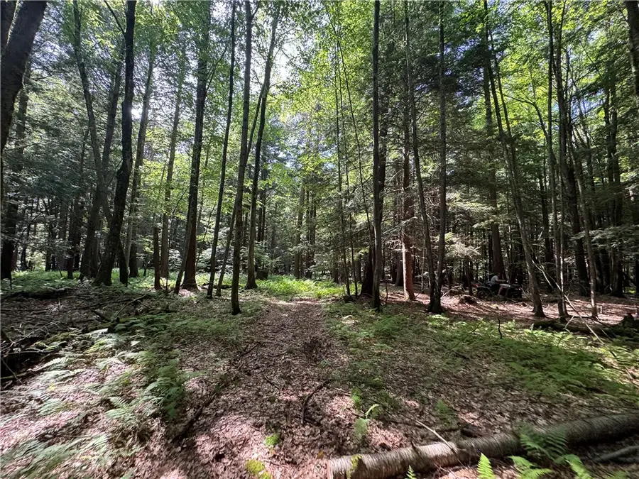 5757 State Highway 7, Oneonta, NY 13820 - #3