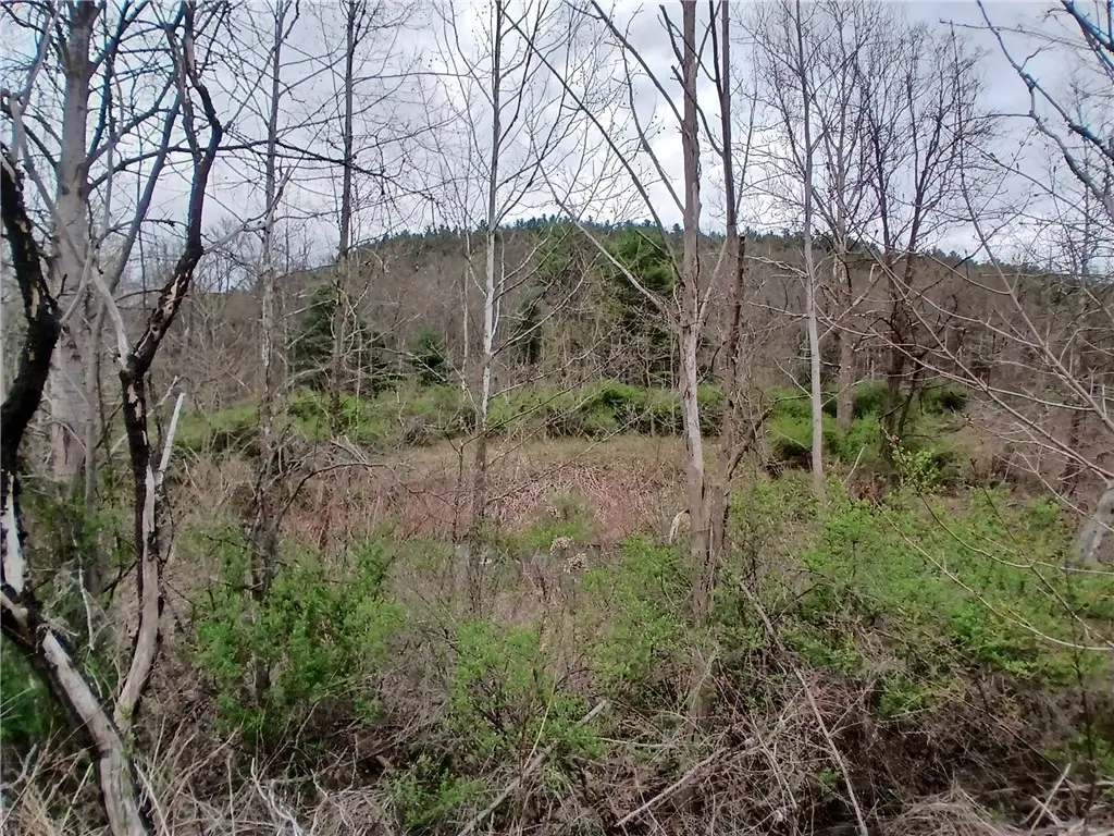 0 Caton Rd (st Rt 225), Corning, NY 14830 - #1