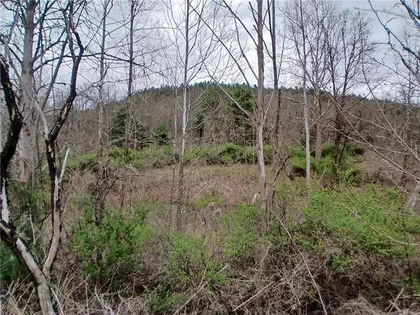 0 Caton Rd (st Rt 225), Corning, NY 14830