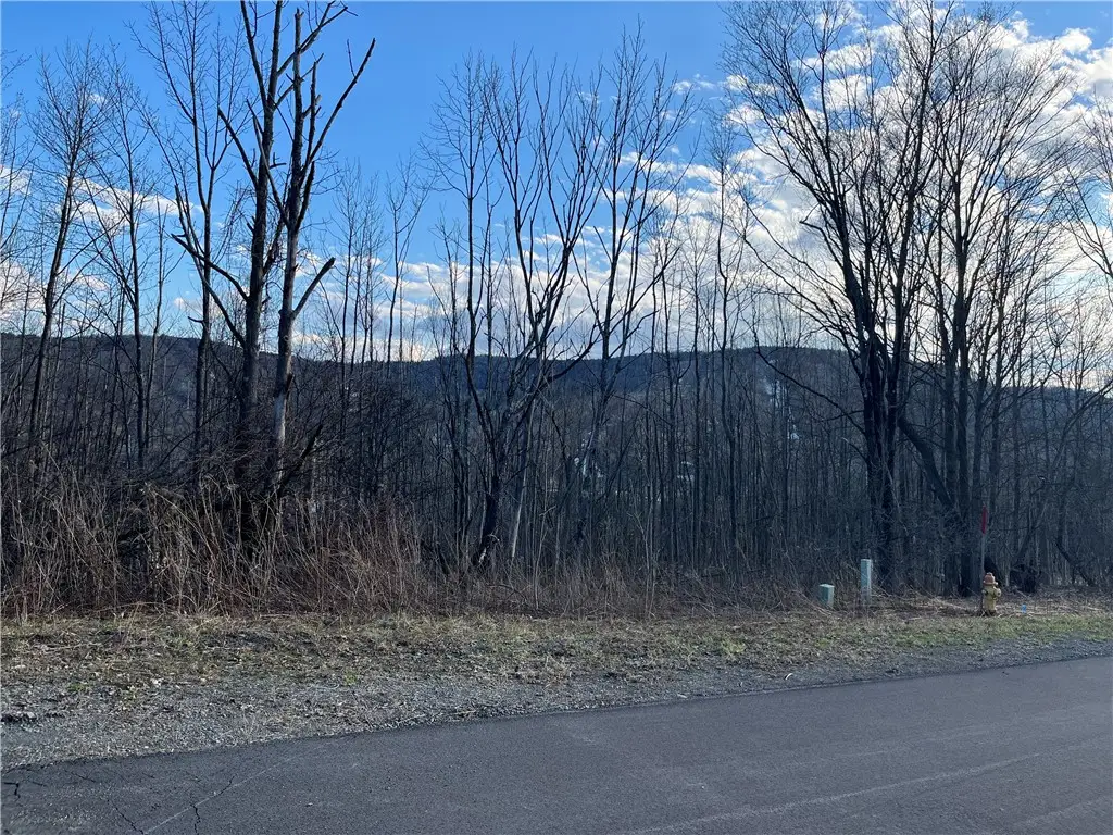 2022/2024 Amalia Drive, Cortland, NY 13045 - #1