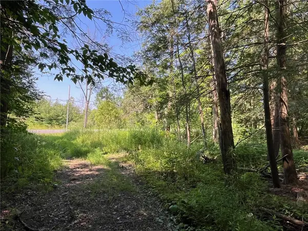 Address Withheld By Seller, Arcade, NY 14009