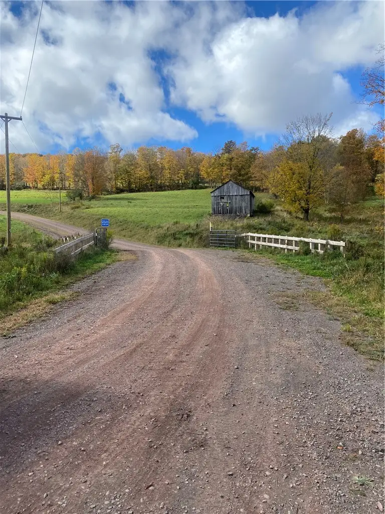 530 Cape Horn Road, Bovina Center, NY 13740 - #1