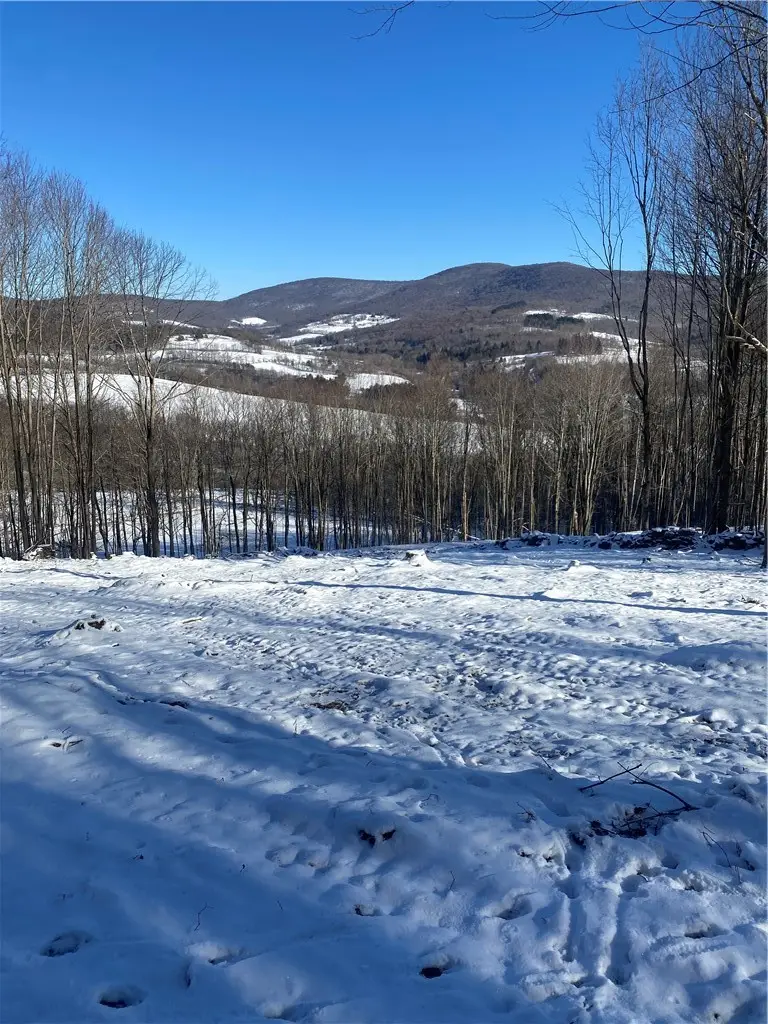 530 Cape Horn Road, Bovina Center, NY 13740 - #3