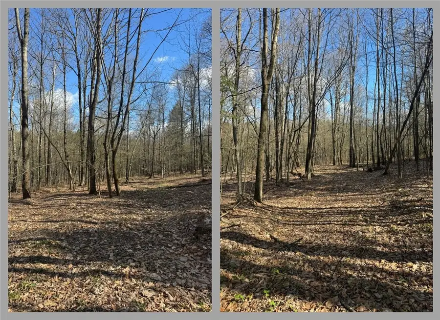 Ramey Road, Pittsfield, NY 13411 - #3