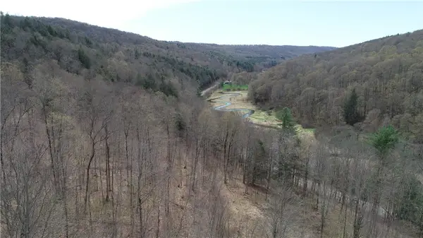 0 County Route 9, Prattsburgh, NY 14873