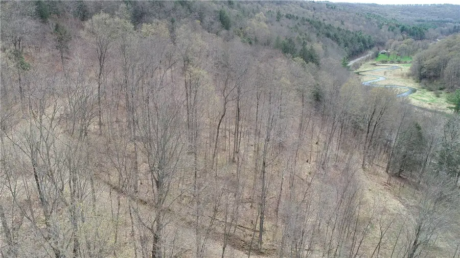 0 County Route 9, Prattsburgh, NY 14873 - #2