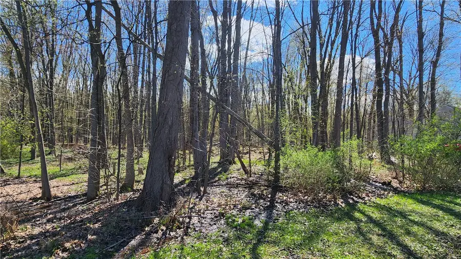 Straub Road, Rochester, NY 14626 - #2