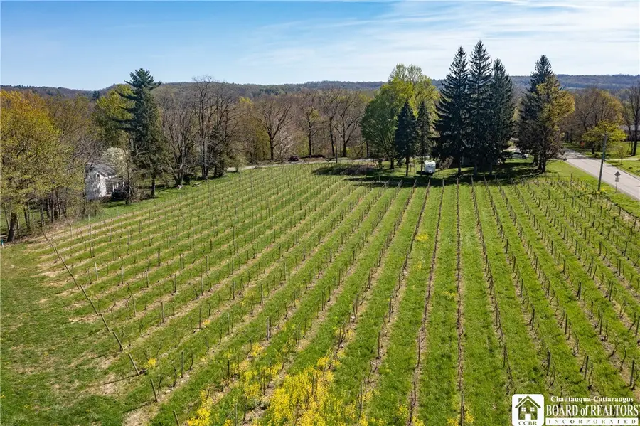 Chestnut Street, Westfield, NY 14787 - #2