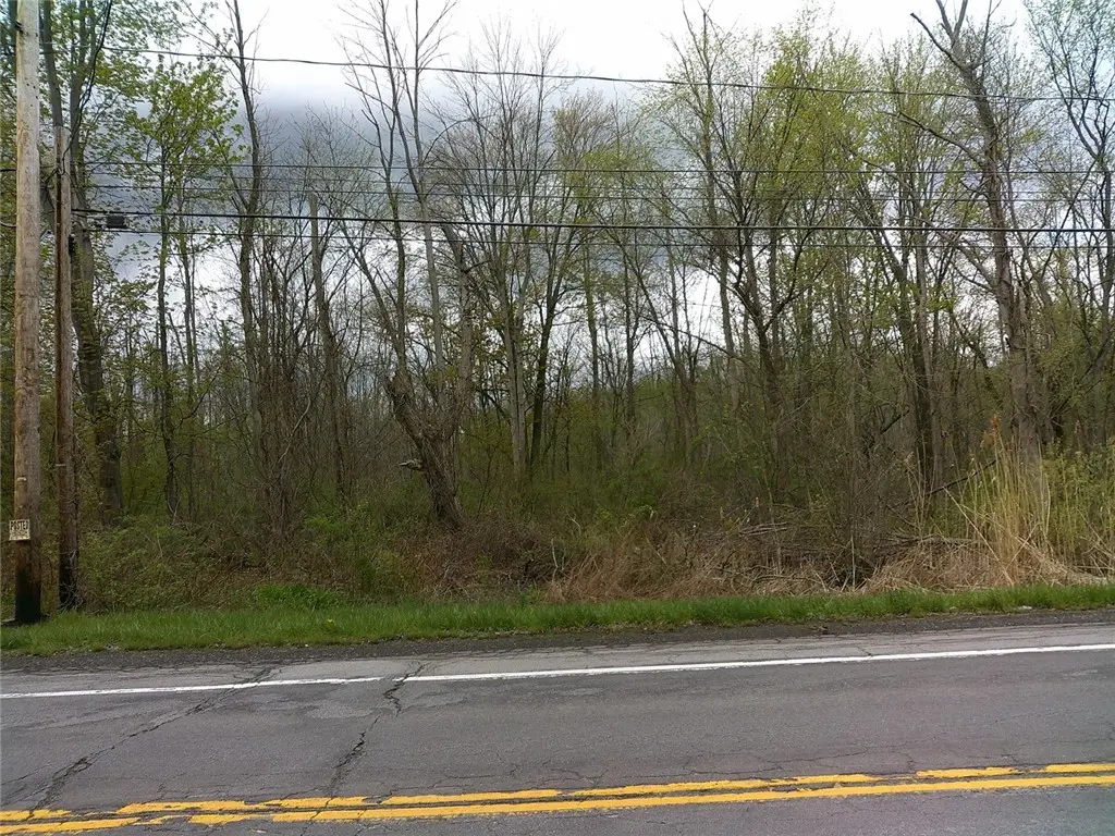 1919 N Union Street, Spencerport, NY 14559 - #1