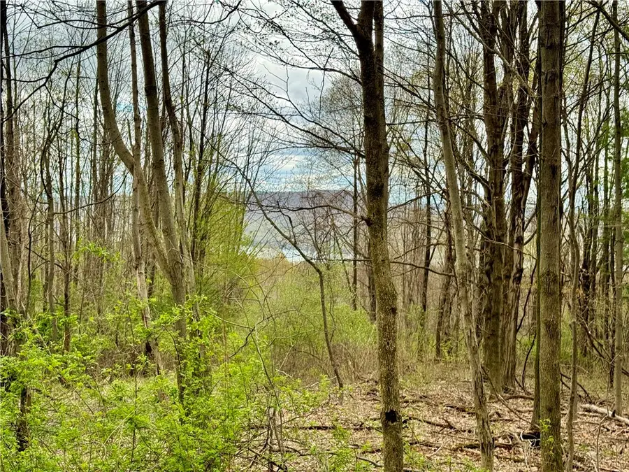 5796 State Route 21 S, Naples, NY 14512 - #2
