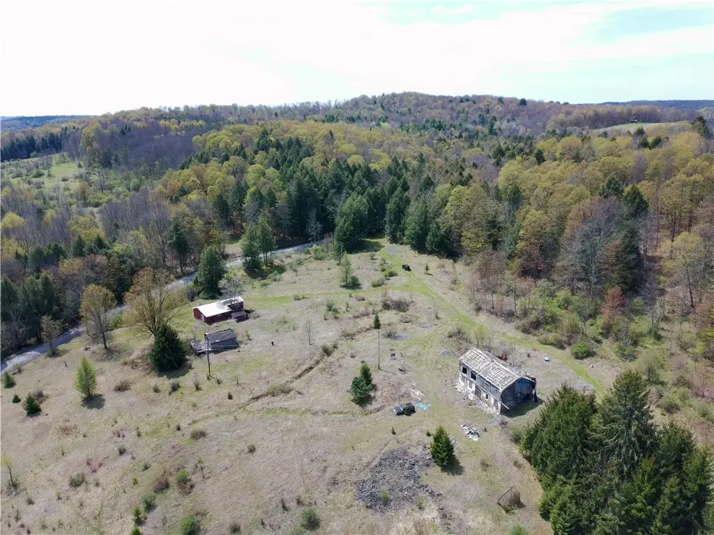 10233 Lamb Road, West Edmeston, NY 13485 - #1