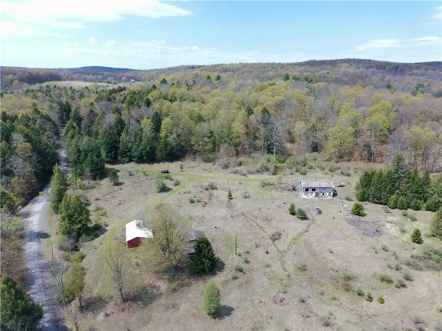 10233 Lamb Road, West Edmeston, NY 13485 - #2