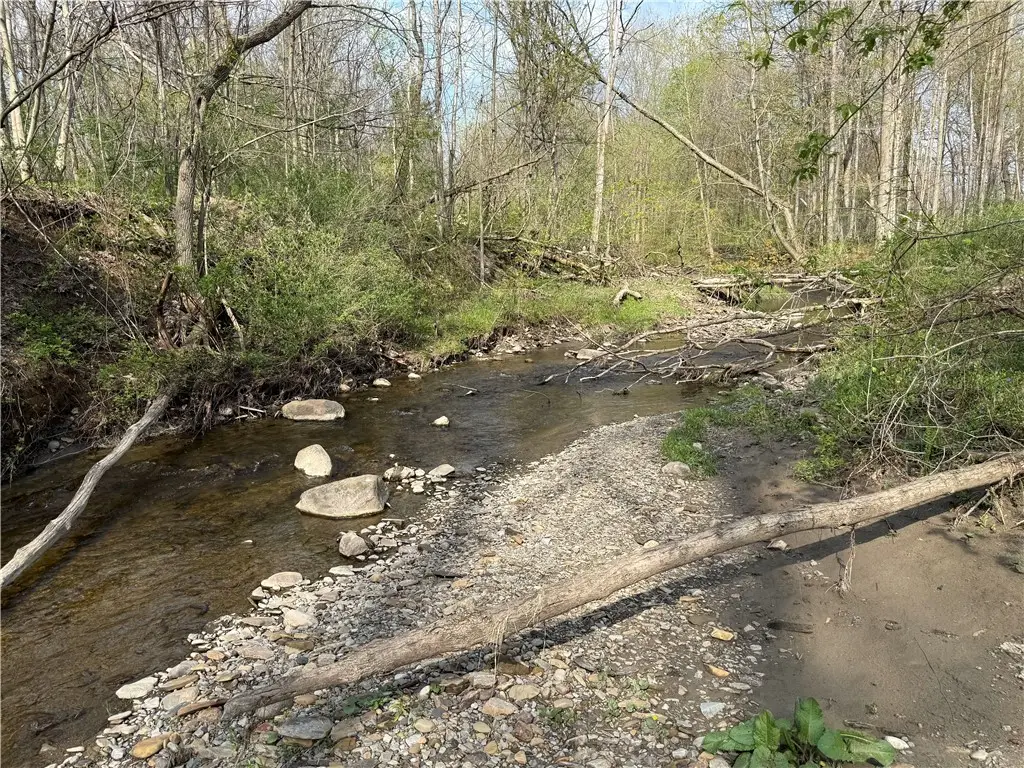 14245 Collin Ctr Zoar Road, Collins, NY 14034 - #1