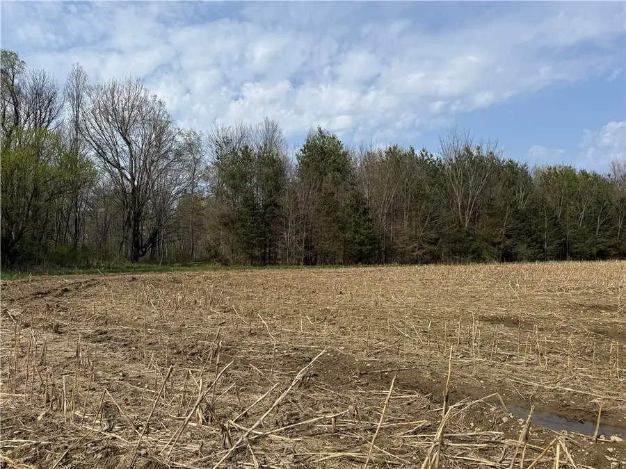 14245 Collin Ctr Zoar Road, Collins, NY 14034 - #3
