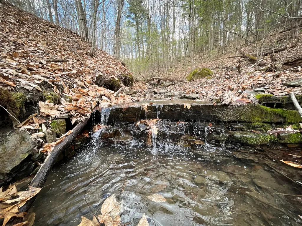 West Creek Road, Richford, NY 13835 - #1