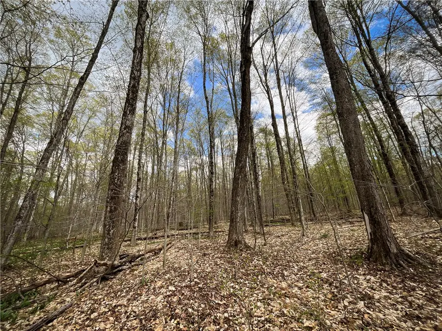 West Creek Road, Richford, NY 13835 - #3