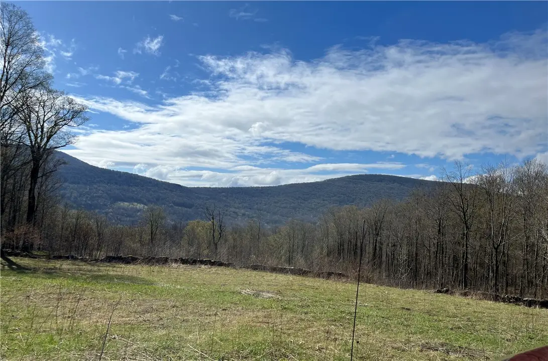 Vega Mountain Road, Roxbury, NY 12474 - #1