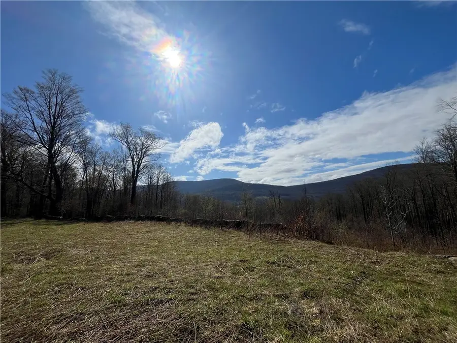 Vega Mountain Road, Roxbury, NY 12474 - #3