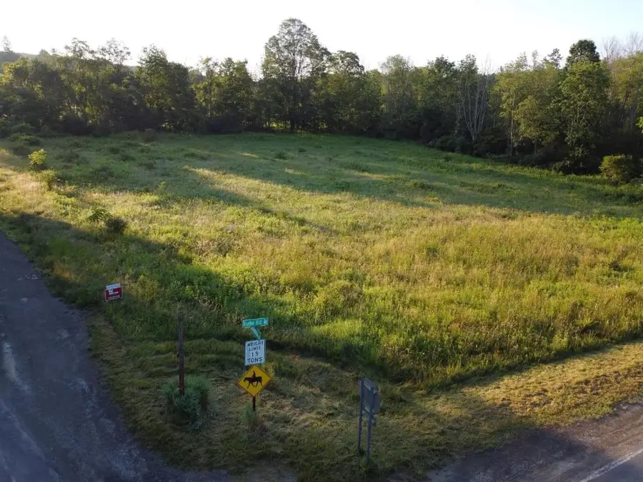0 Hornbrook Road, Ithaca, NY 14850 - #3