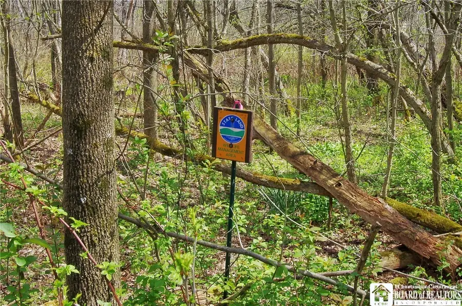 876 Swede Road, Panama, NY 14767 - #2