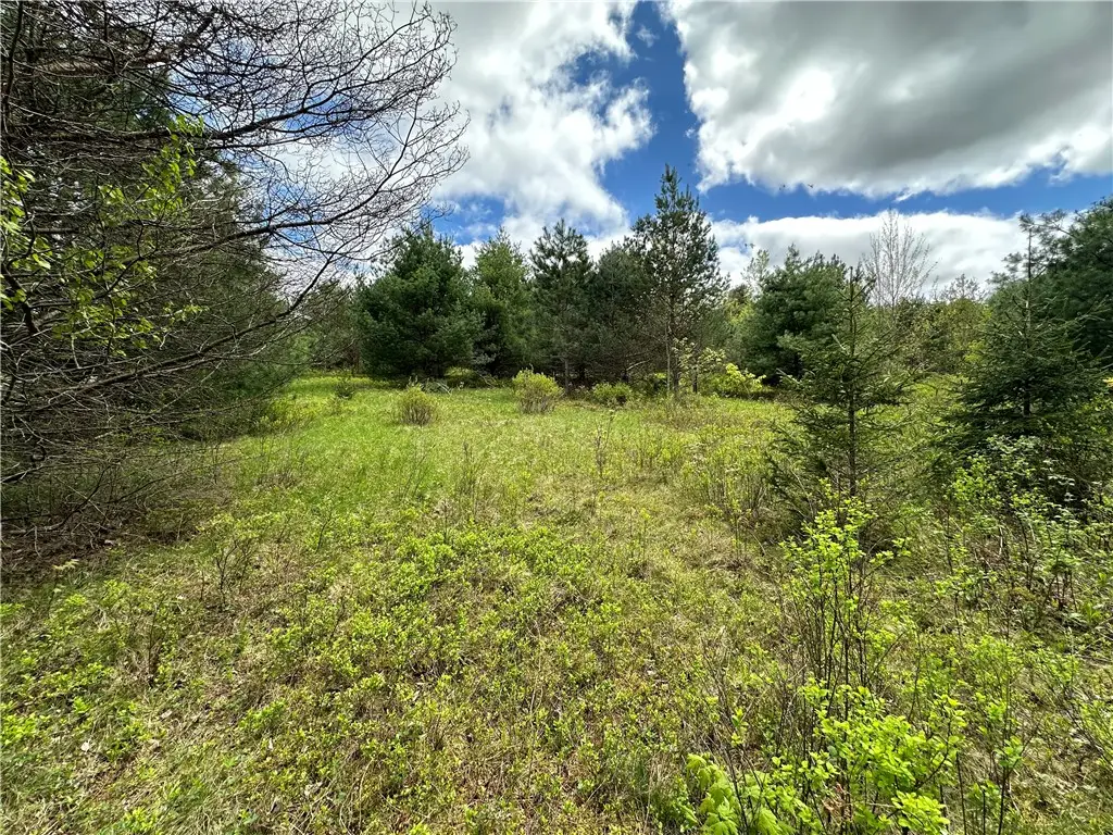 0 Pine Tree Road, New Berlin, NY 13411 - #1