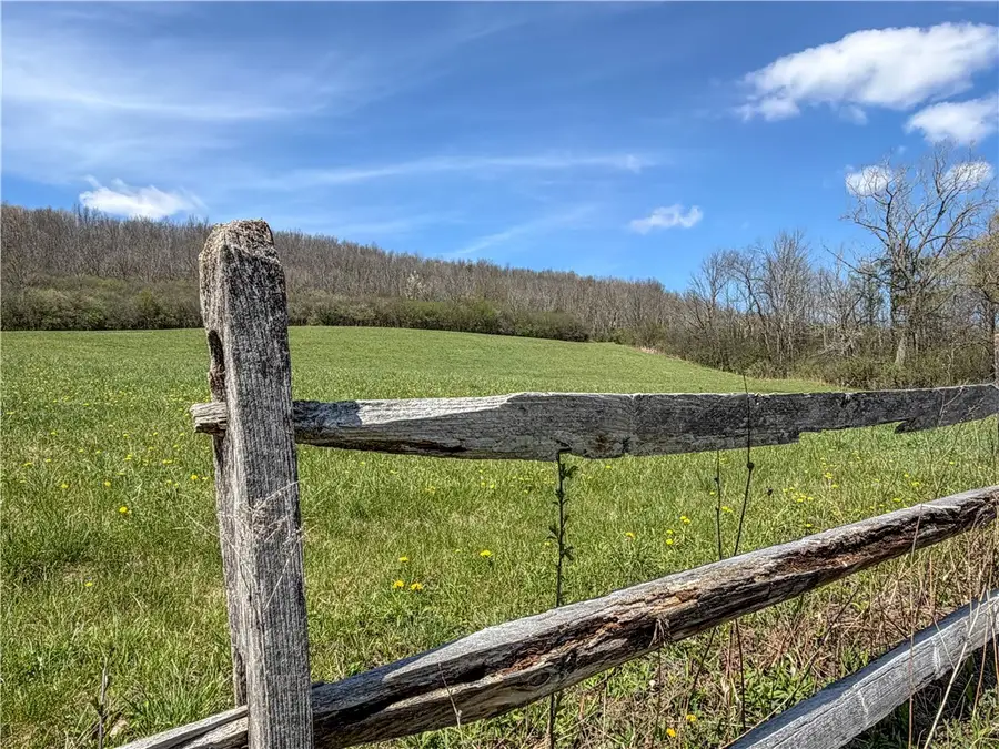 VL WP01 County Road 16, Angelica, NY 14709 - #2