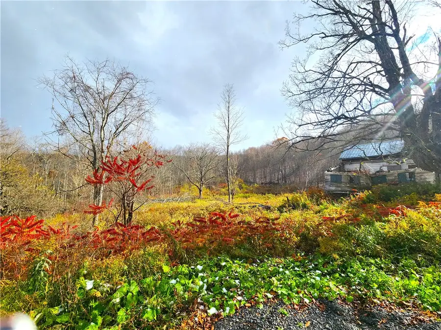 172 Mace Hill Road, Middleburgh, NY 12122 - #3