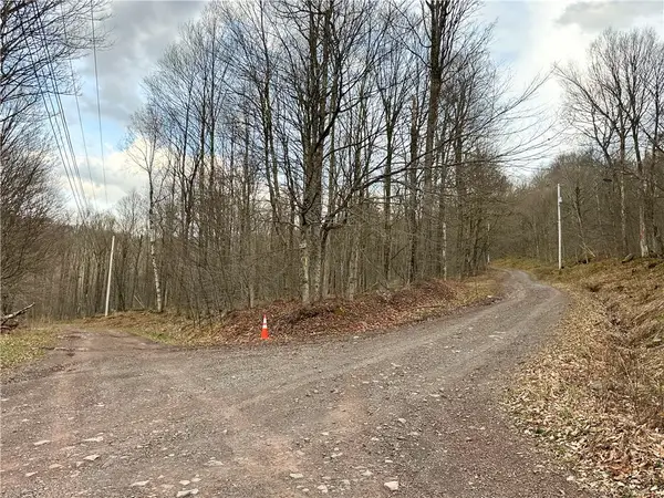 Madigan Lane, Hancock, NY 13783