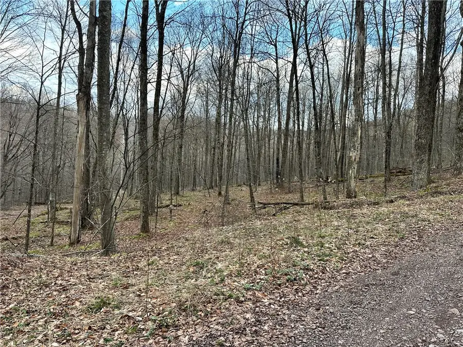 Madigan Lane, Hancock, NY 13783 - #2