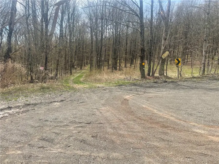 340 Sherman Hill Road, Afton, NY 13730 - #2