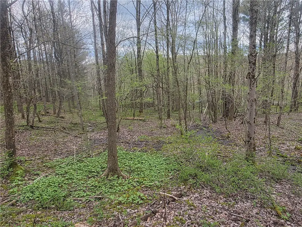 Clarence Church Road, South Otselic, NY 13155 - #1