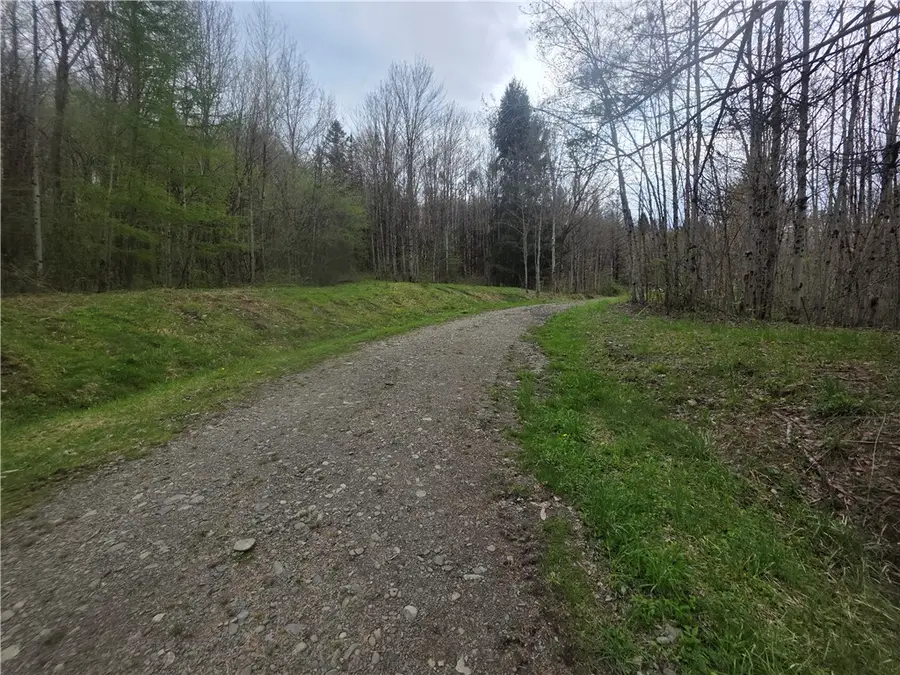 Clarence Church Road, South Otselic, NY 13155 - #2