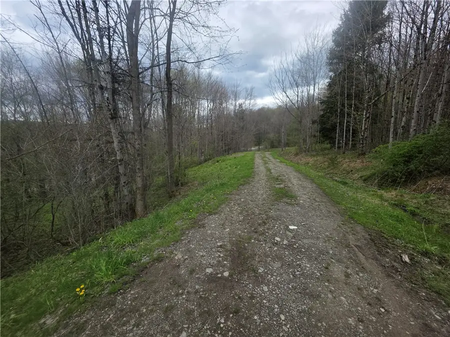 Clarence Church Road, South Otselic, NY 13155 - #3
