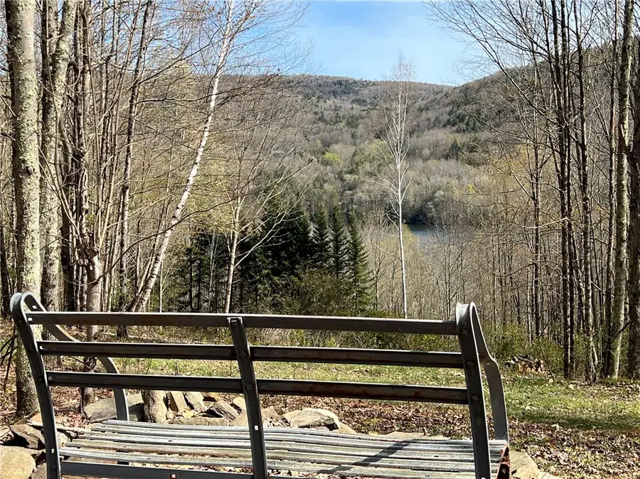 State Highway 30, Andes, NY 13731 - #2