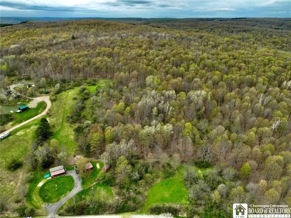 5857 Bloye Road, Franklinville, NY 14737 - #1