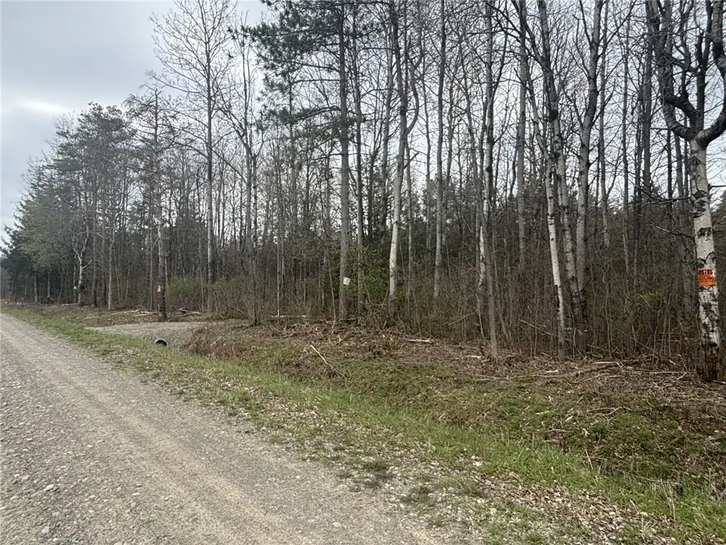 Wagner Road, Dansville, NY 14437 - #1