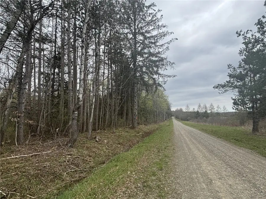 Wagner Road, Dansville, NY 14437 - #2