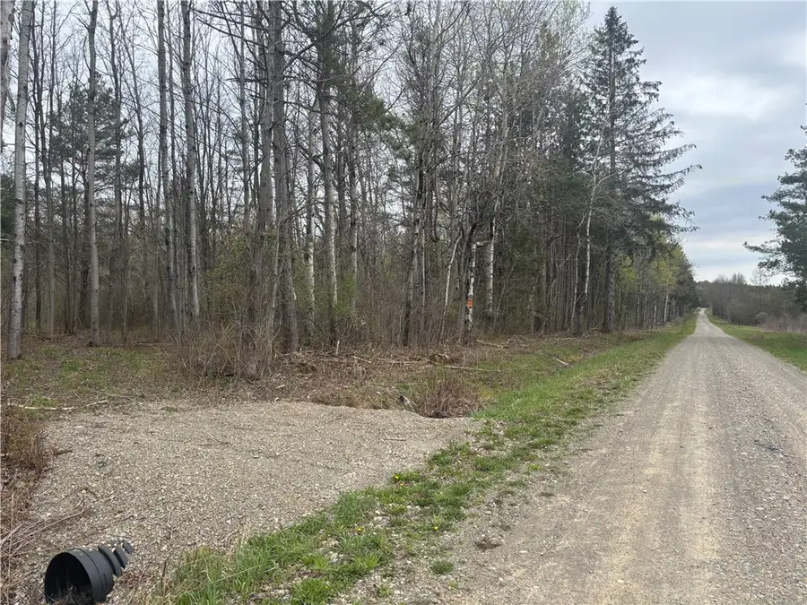 Wagner Road, Dansville, NY 14437 - #3