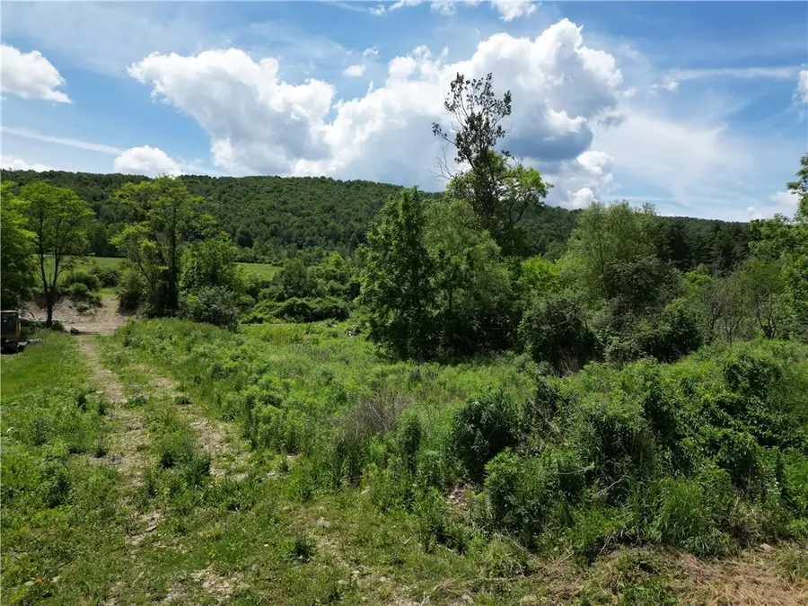Karr Valley Road, Almond, NY 14804 - #2