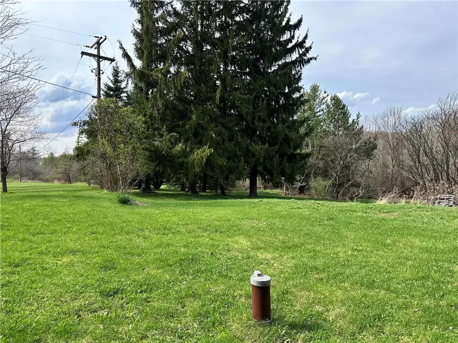 3965 State Route 436, Dansville, NY 14437 - #2