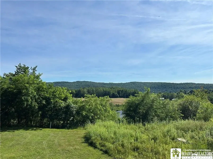 256 Bragg Road, Frewsburg, NY 14738 - #3