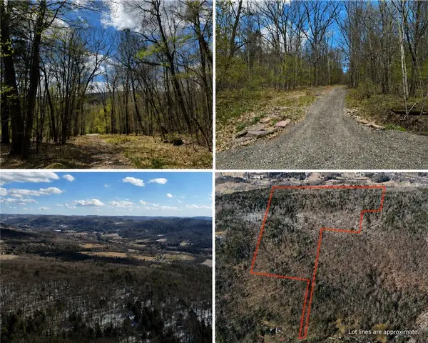 0 Patent Line Road, Sidney, NY 13838