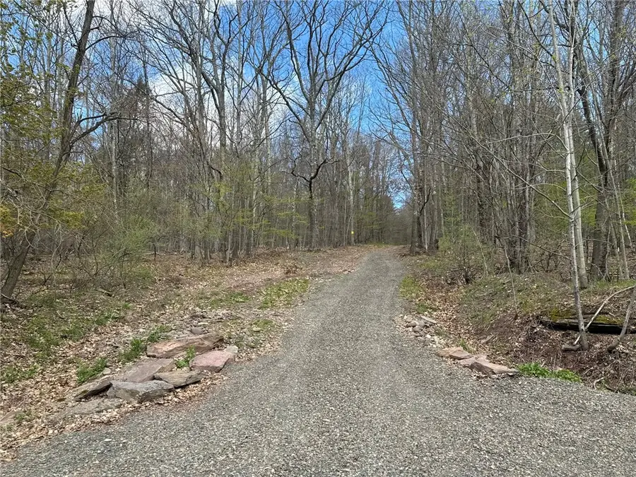 0 Patent Line Road, Sidney, NY 13838 - #2