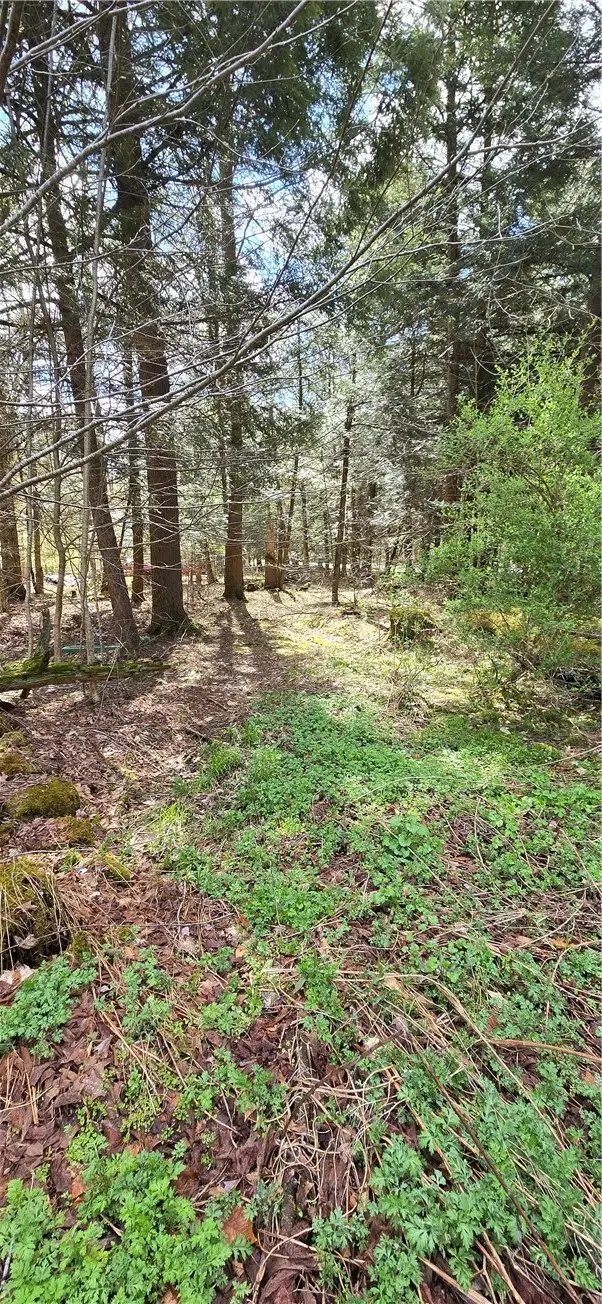 Bliss Gulf Road, Milford, NY 13807 - #1