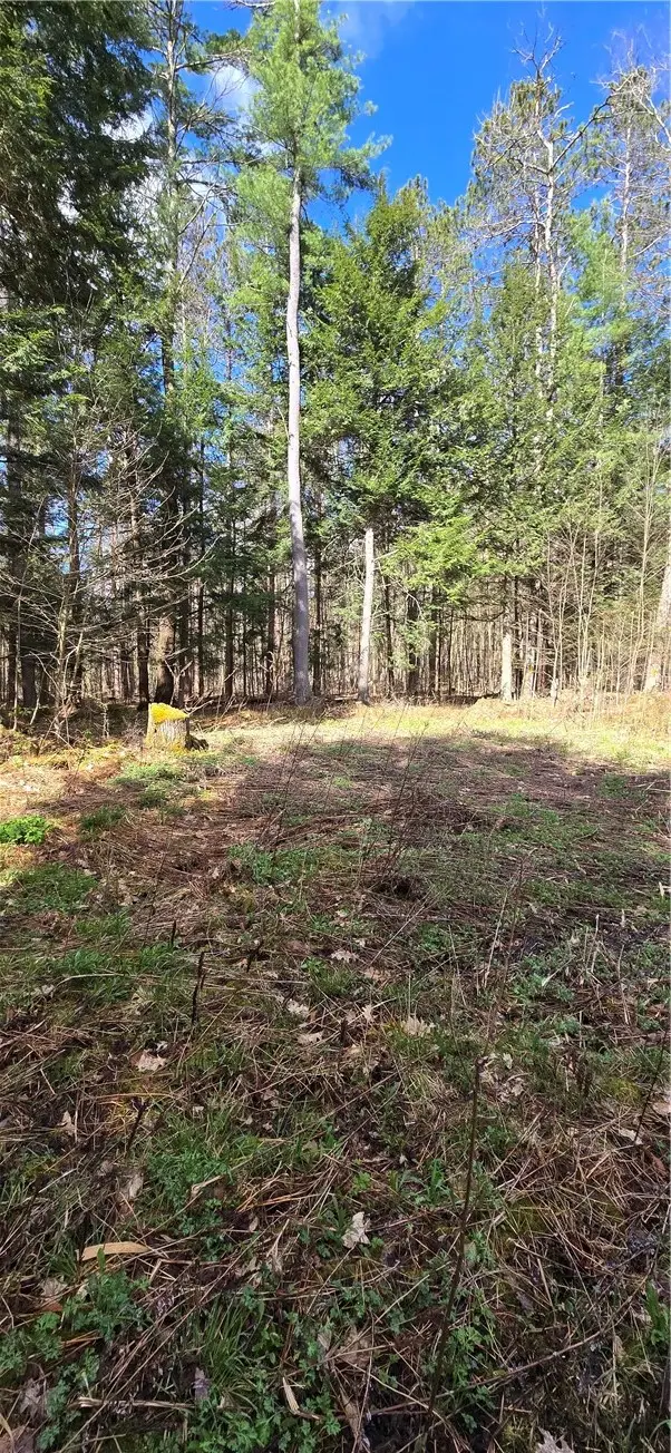Bliss Gulf Road, Milford, NY 13807 - #2