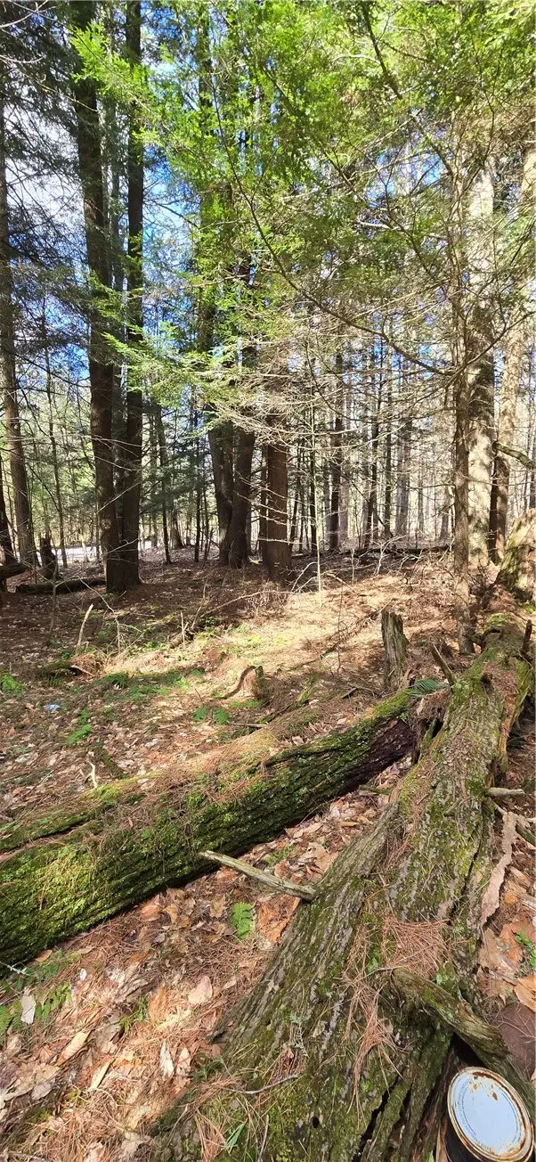 Bliss Gulf Road, Milford, NY 13807 - #3