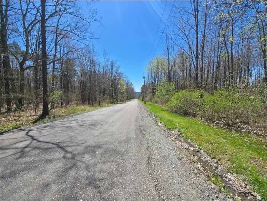 0 Dunn Road, Catlin, NY 14869 - #2