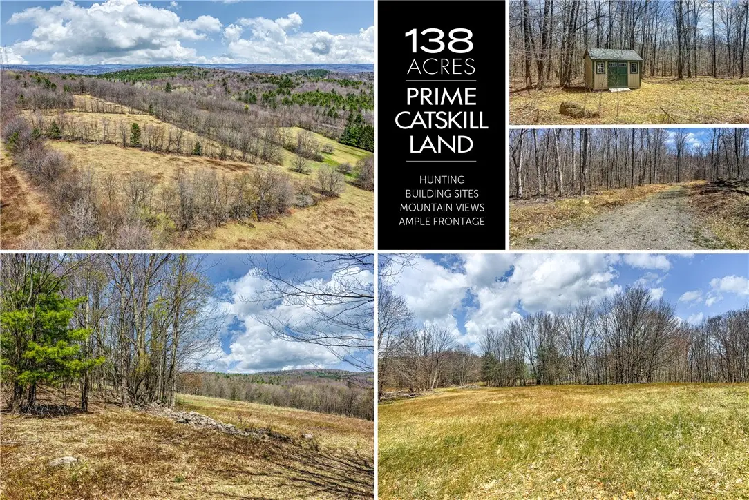 Lots 19, 22, 25 Frank Slawson Road, Oneonta, NY 13820 - #1
