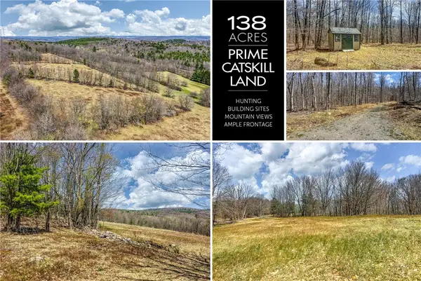 Lots 19, 22, 25 Frank Slawson Road, Oneonta, NY 13820