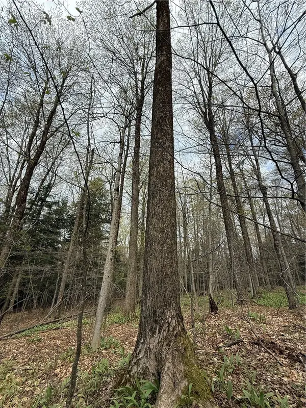 Saunders Gulf Road, West Winfield, NY 13491